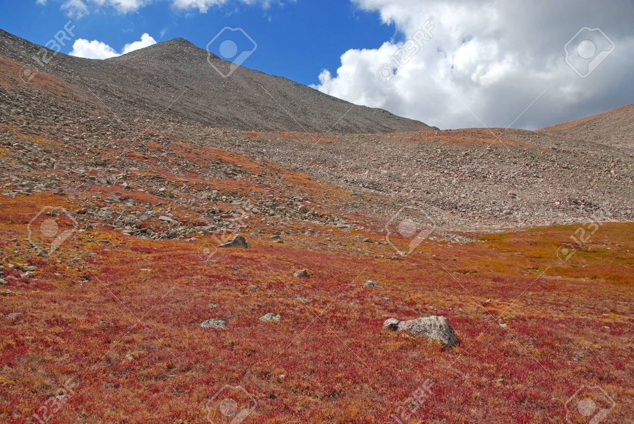 サワッチ山脈 コロラド州のマウント コロンビア付近の秋の色 の写真素材 画像素材 Image