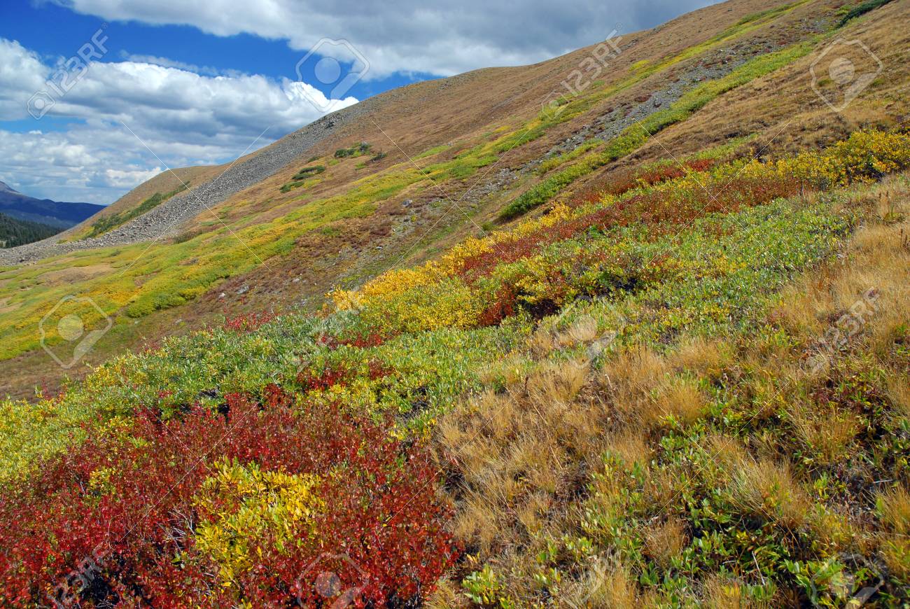 サワッチ山脈 コロラド州の秋の色 の写真素材 画像素材 Image