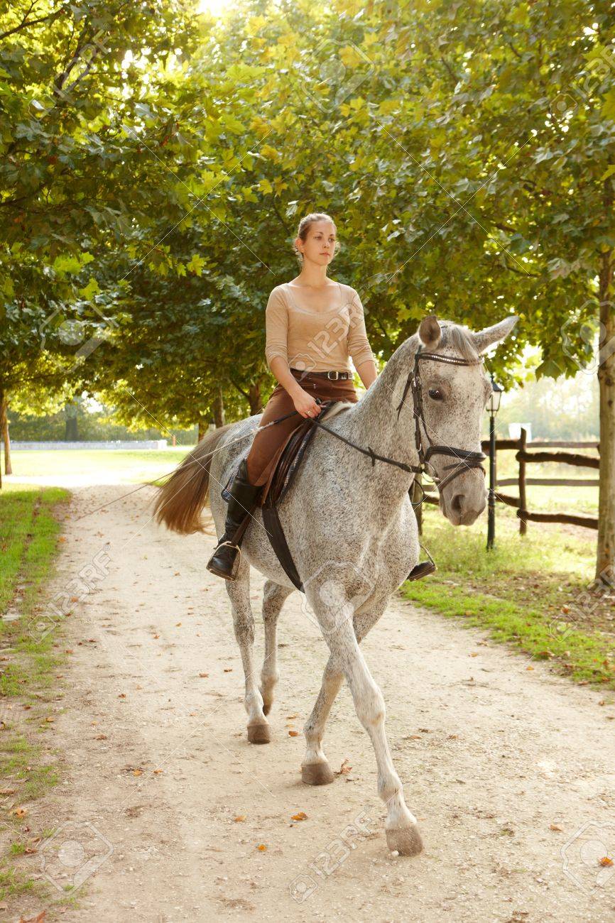 Junge Frau Reiten Schones Pferd Im Grunen Bereich Lizenzfreie Fotos Bilder Und Stock Fotografie Image 52139841