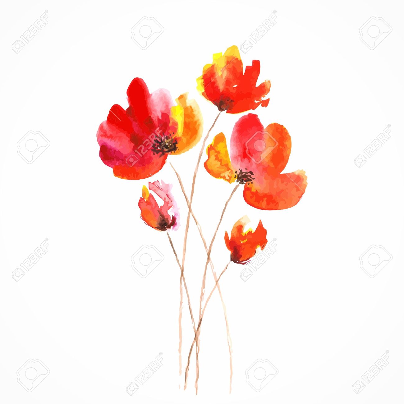 赤い花ケシ水彩花のイラスト花の花束ベクトル花の背景の誕生日カード のイラスト素材 ベクタ Image 赤い花ケシ水彩花のイラスト花の花束ベクトル花の背景の誕生日カード のイラスト素材 ベクタ Image