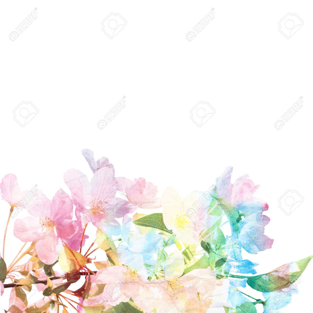 floral background watercolor floral