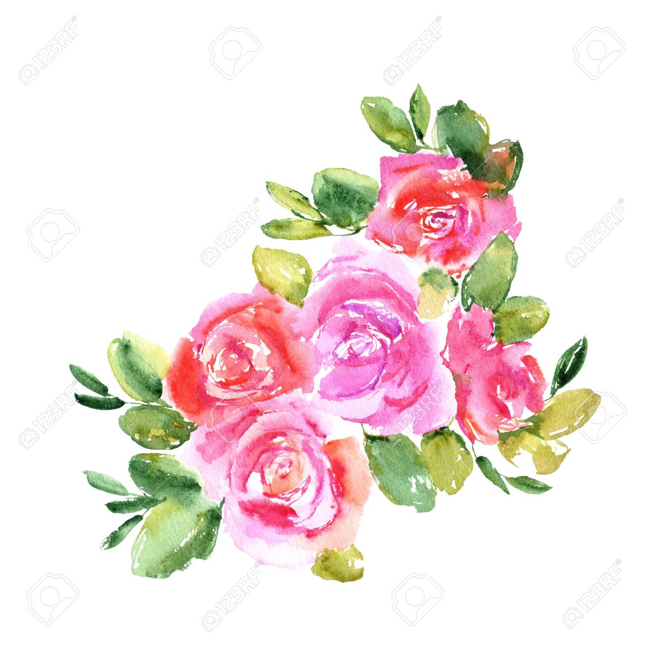 Pink Roses Bouquet Drawing Watercolor Flowers