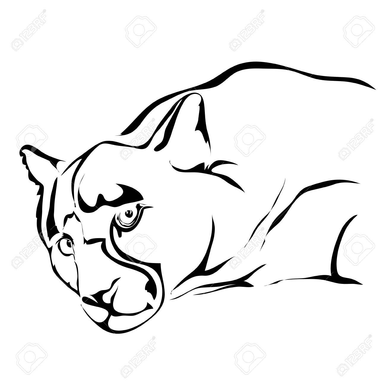 puma jaguar