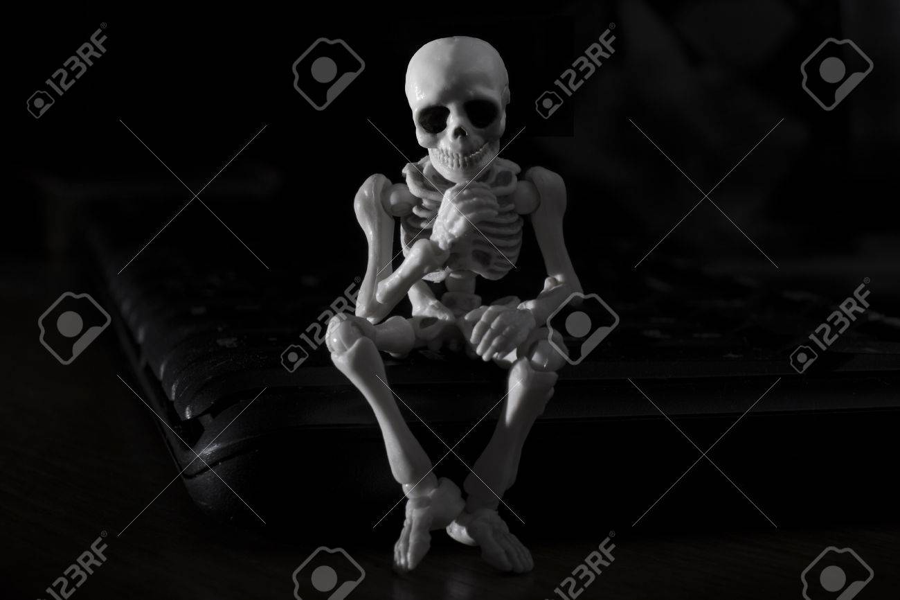 etiam-dictum-ipsum-a-felis