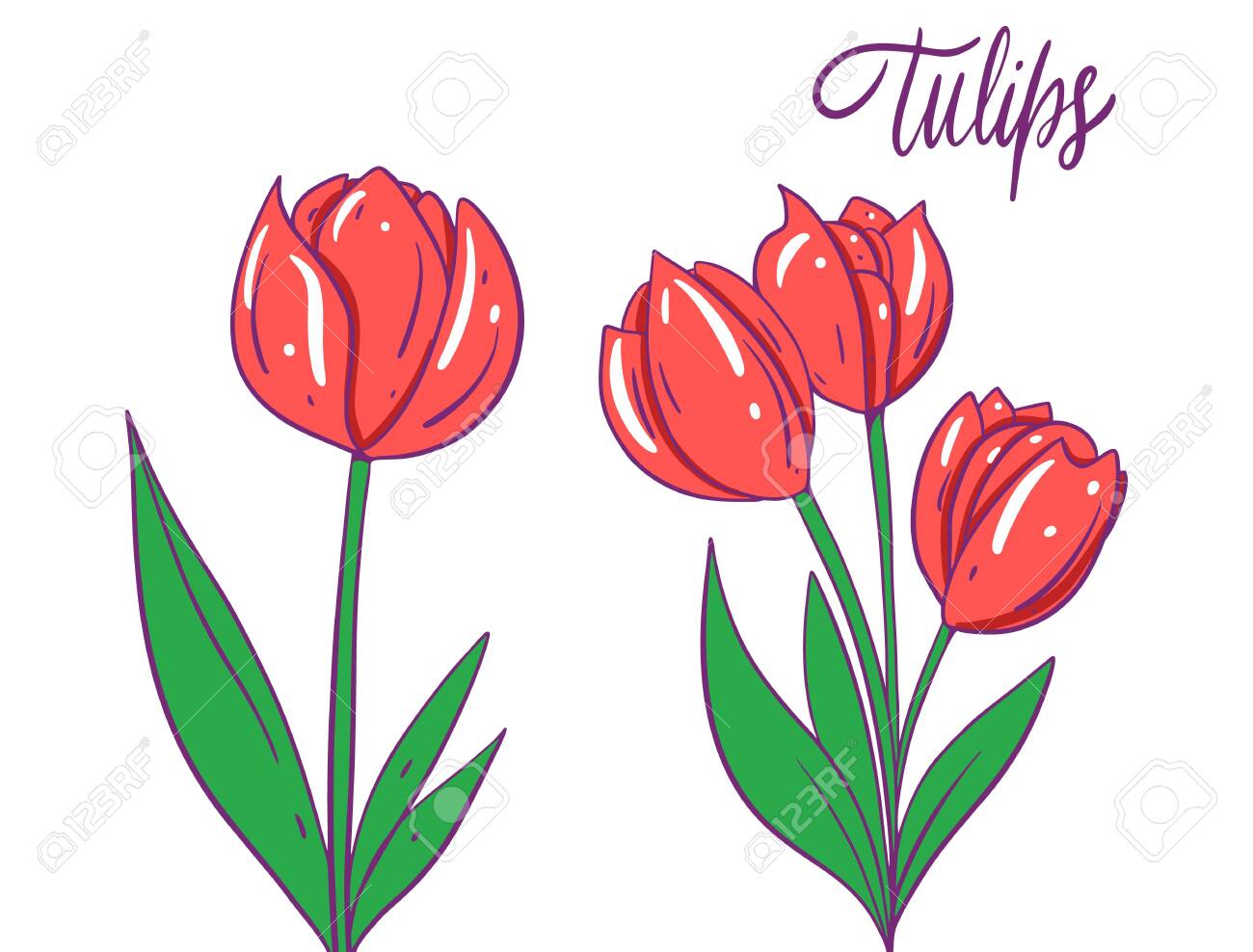Bouquet With Tulip Flowers In Contour Style Isolated On White Stock  Illustration - Download Image Now - iStock, image size:1300x988