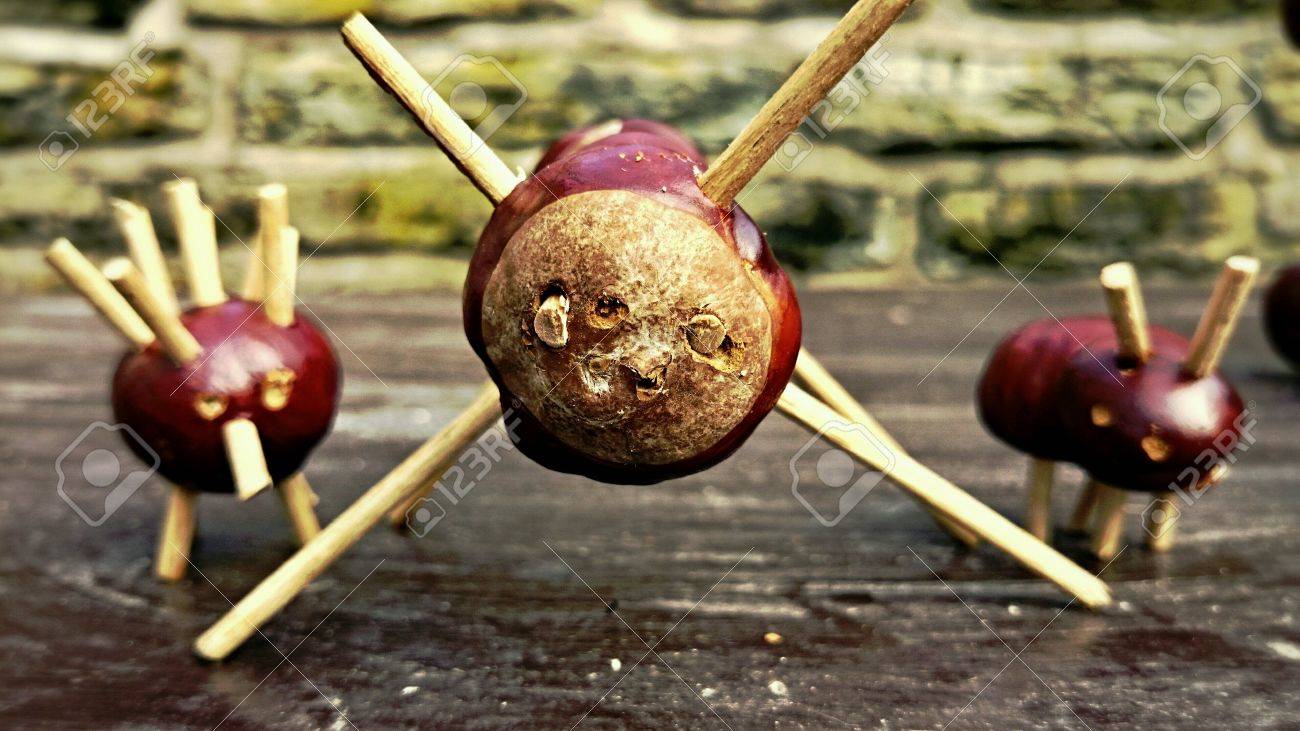 etiam-dictum-ipsum-a-felis