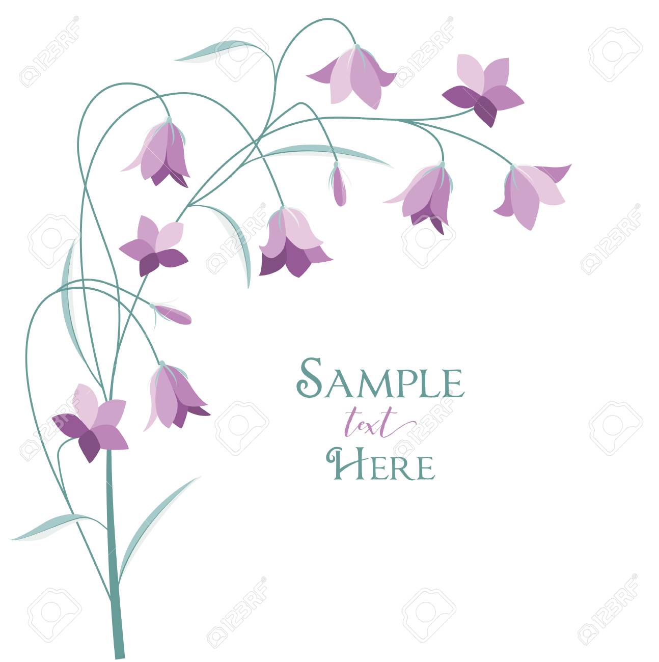 Summer Flower Campanula Royalty Free Cliparts Vectors And Stock Illustration Image