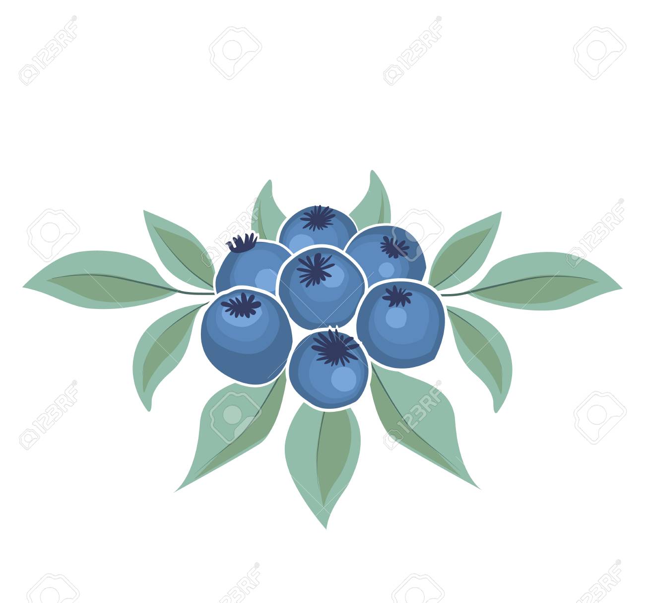 Ilustracion De Vector De Una Tarjeta De Felicitacion Con Arandanos Y Hojas Ilustraciones Vectoriales Clip Art Vectorizado Libre De Derechos Image 6728