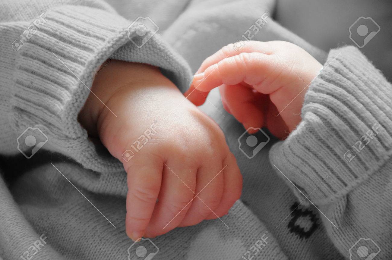 Little Baby Hands Stock Photo Picture And Royalty Free Image Image