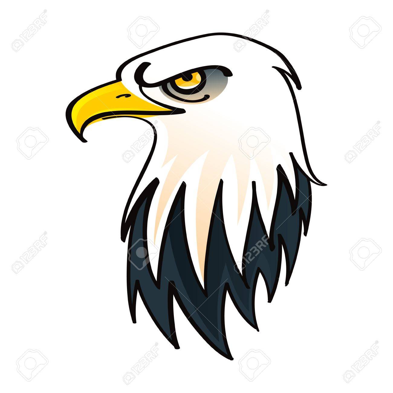 Chef De La Pygargue à Tête Blanche Symbole Des Etats Unis Damérique Oiseau