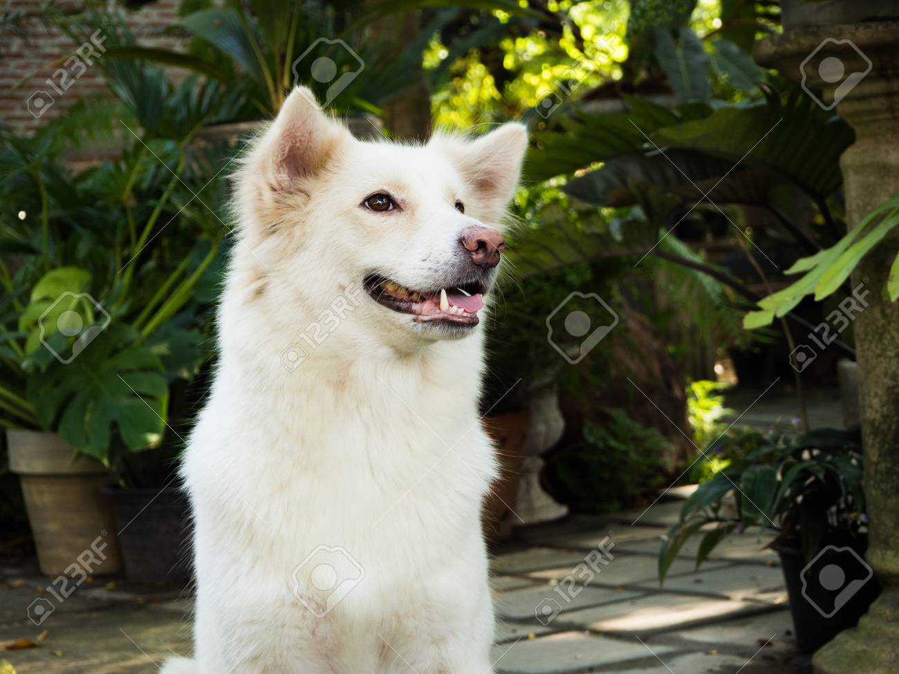 etiam-dictum-ipsum-a-felis