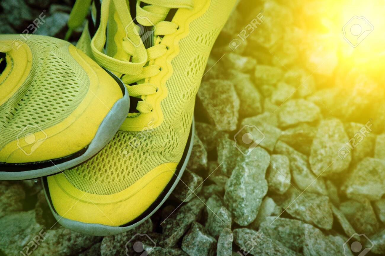 sneaker park website