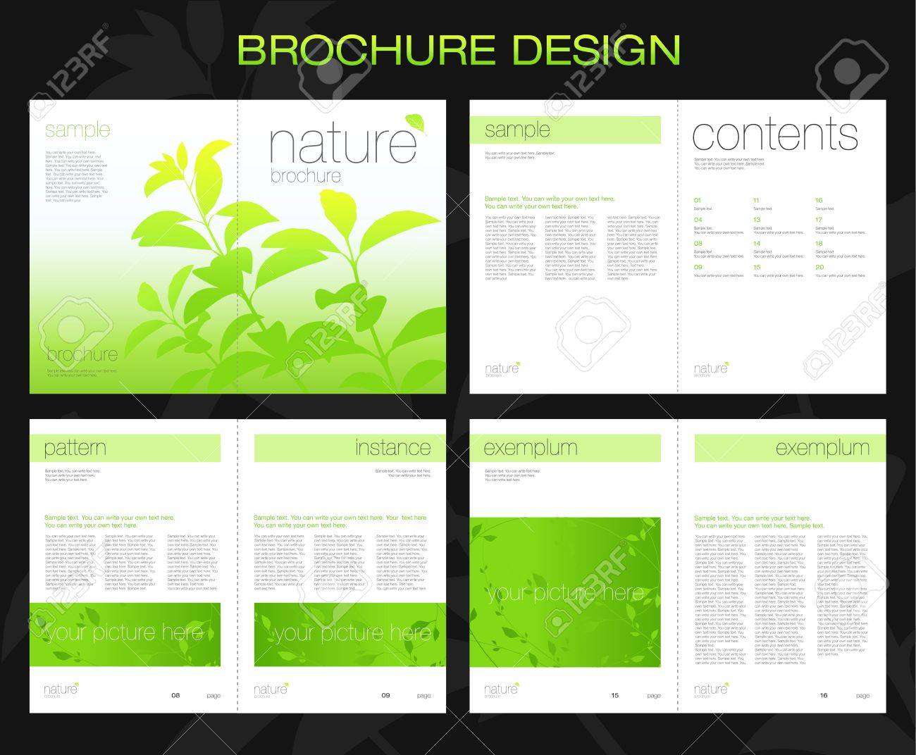 informational brochure design