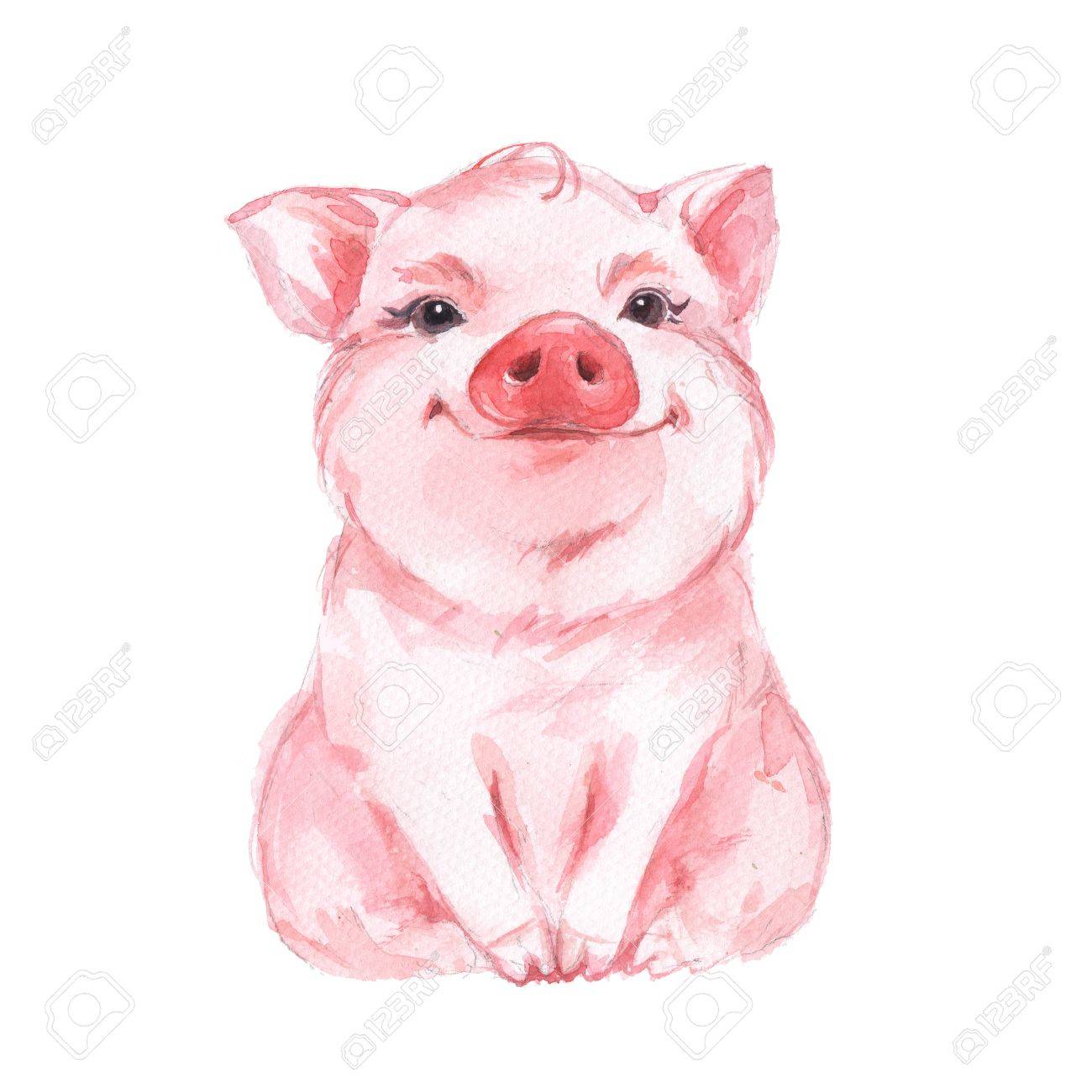 Funny pig. Cute watercolor illustration - 62199988 Funny pig. Cute watercolor illustration - 62199988