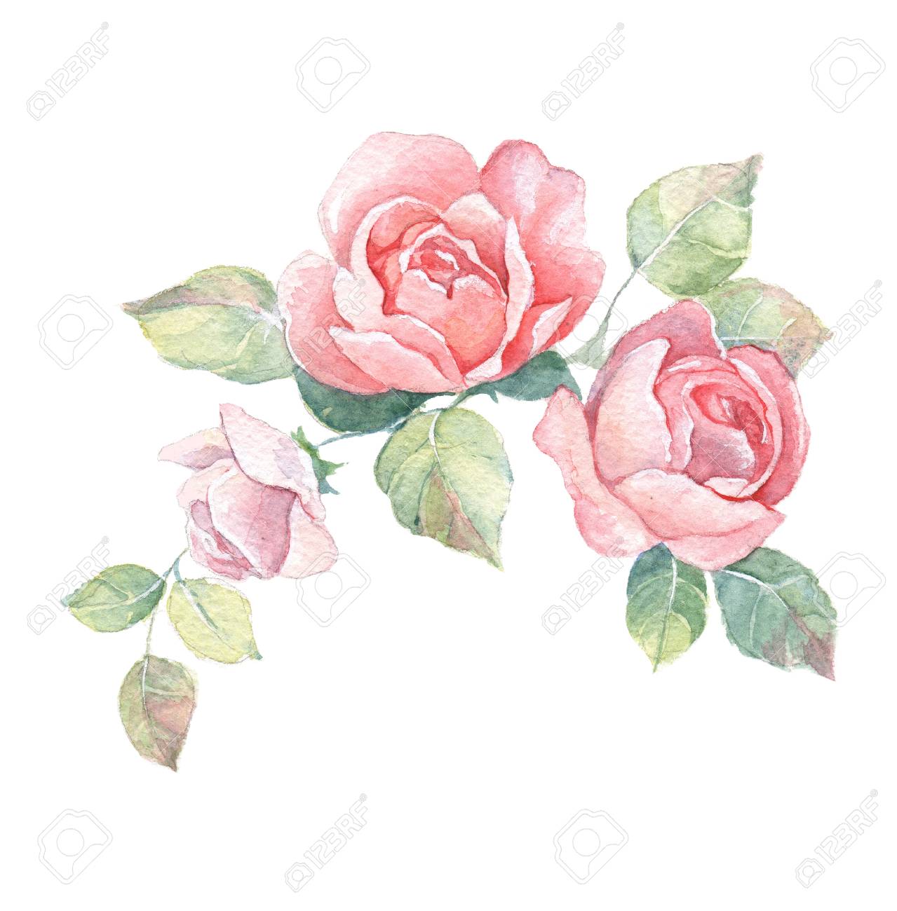 Floral Branch 2 Watercolor Flowers Element For Design Isolated