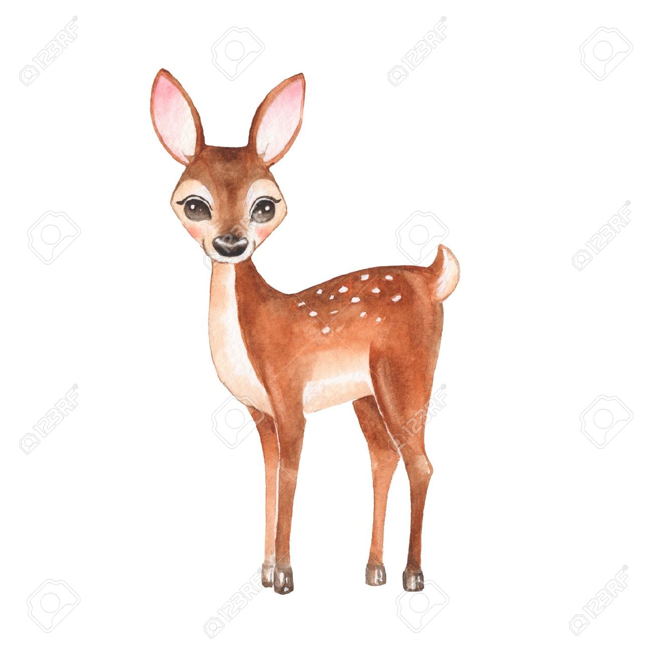Baby Deer. Hand drawn cute deer. Cartoon illustration, isolated on white. Watercolor painting - 64237751 Baby Deer. Hand drawn cute deer. Cartoon illustration, isolated on white. Watercolor painting - 64237751