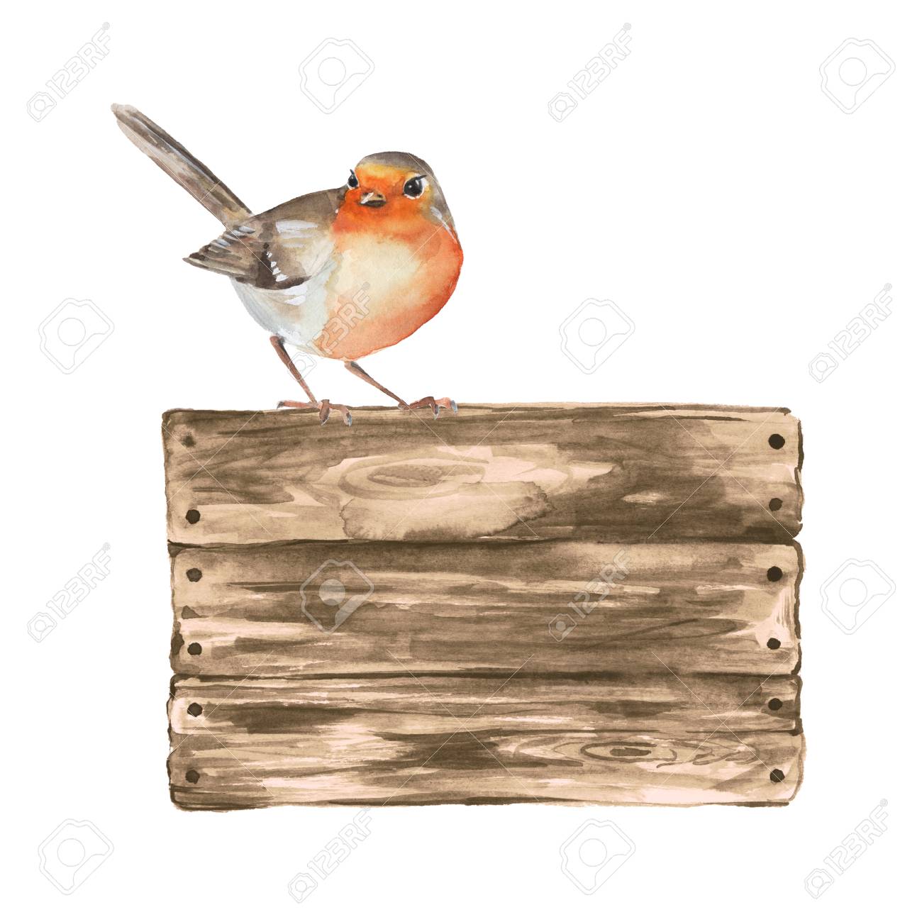 Wooden sign and robin. Watercolor illustration with a bird. - 65387643 Wooden sign and robin. Watercolor illustration with a bird. - 65387643