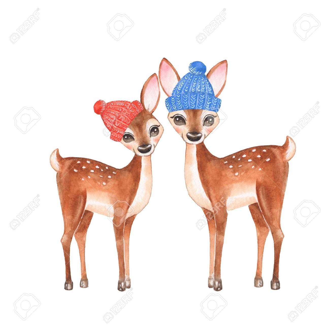 Fawns. Knitted caps. Cartoon illustration, isolated on white. Watercolor painting - 68118875 Fawns. Knitted caps. Cartoon illustration, isolated on white. Watercolor painting - 68118875