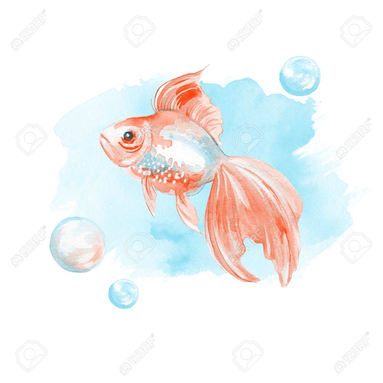 水彩の魚 手描きのイラスト 金魚と青い背景上の泡 の写真素材 画像素材 Image