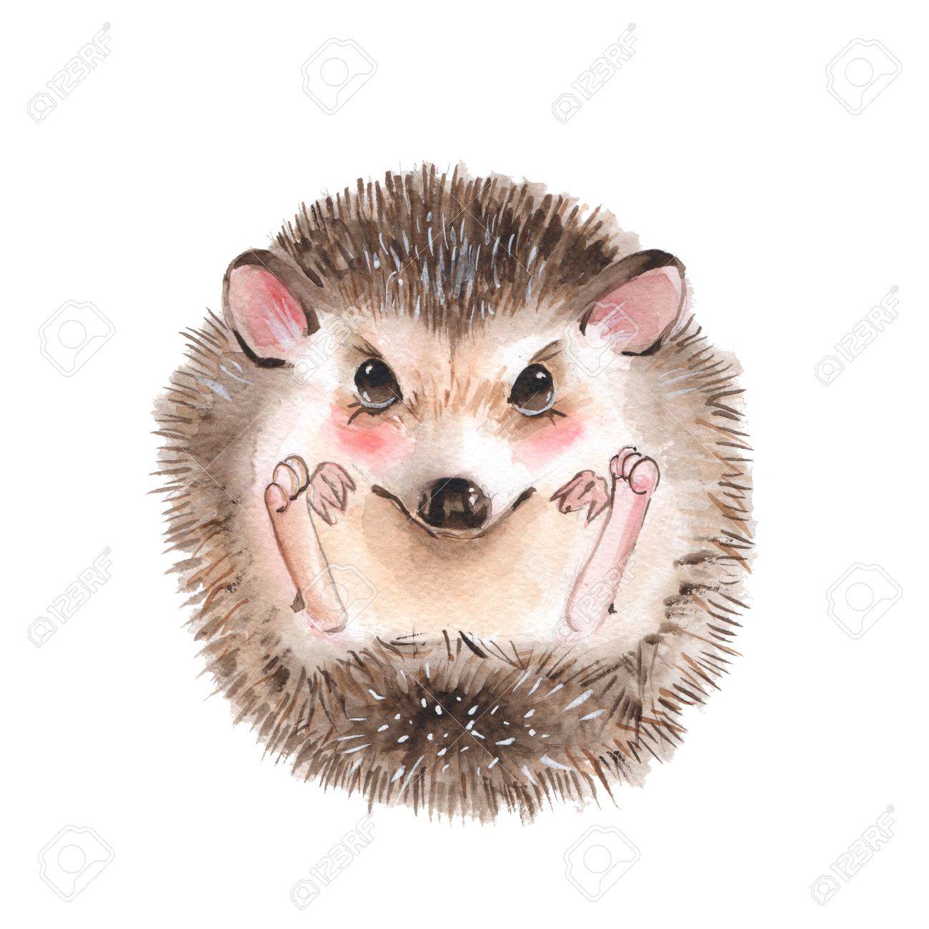 Cute hedgehog. Cartoon watercolor illustration - 76129487 Cute hedgehog. Cartoon watercolor illustration - 76129487