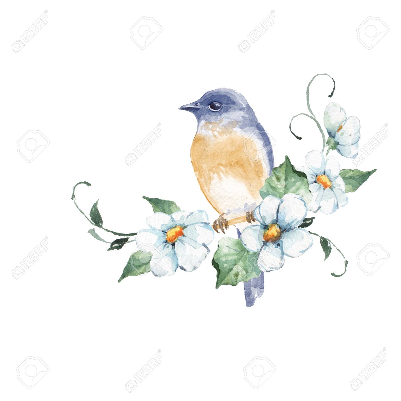 枝の鳥 花の水彩画のイラスト の写真素材 画像素材 Image