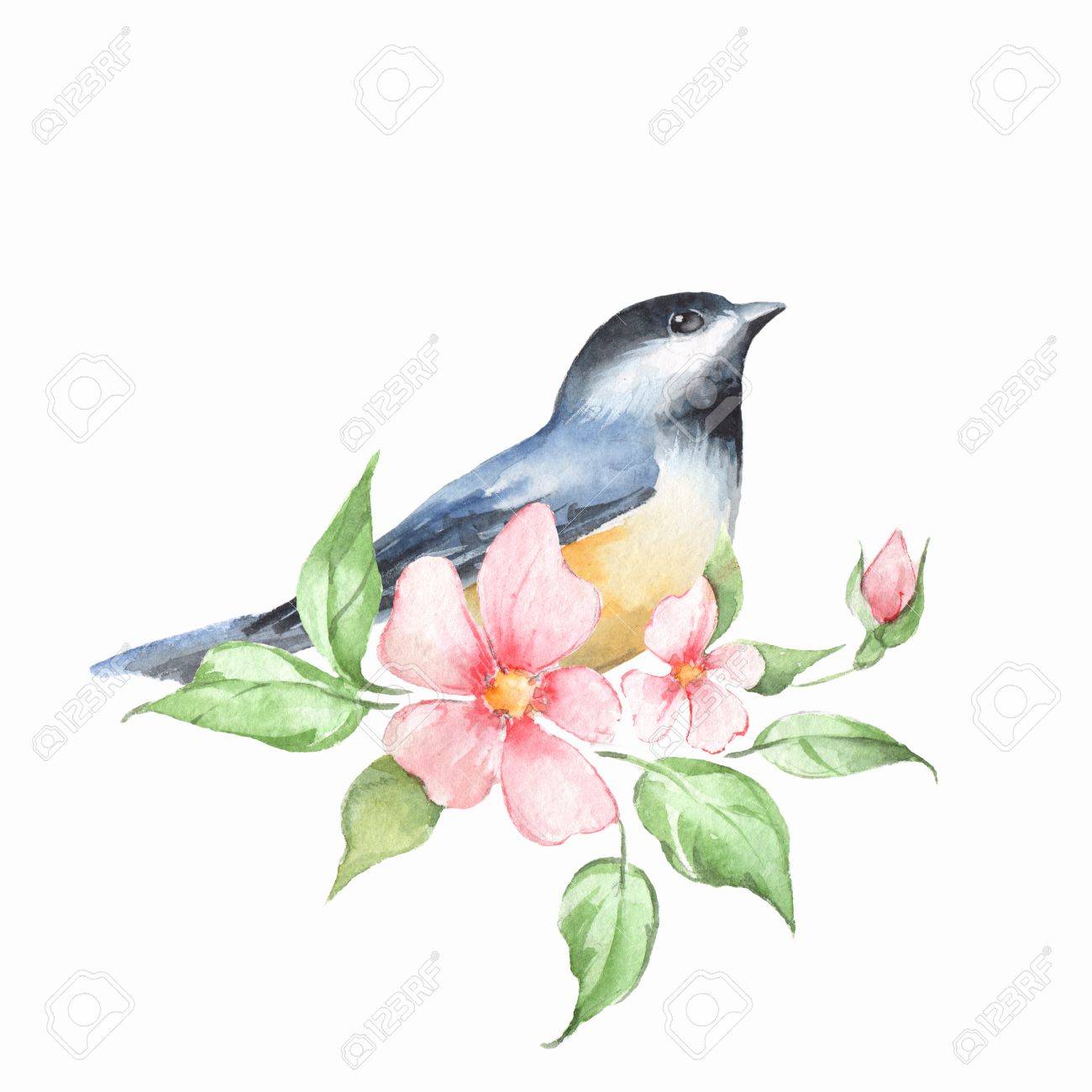 鳥と花の枝。水彩画 1の写真素材・画像素材 Image 78768287