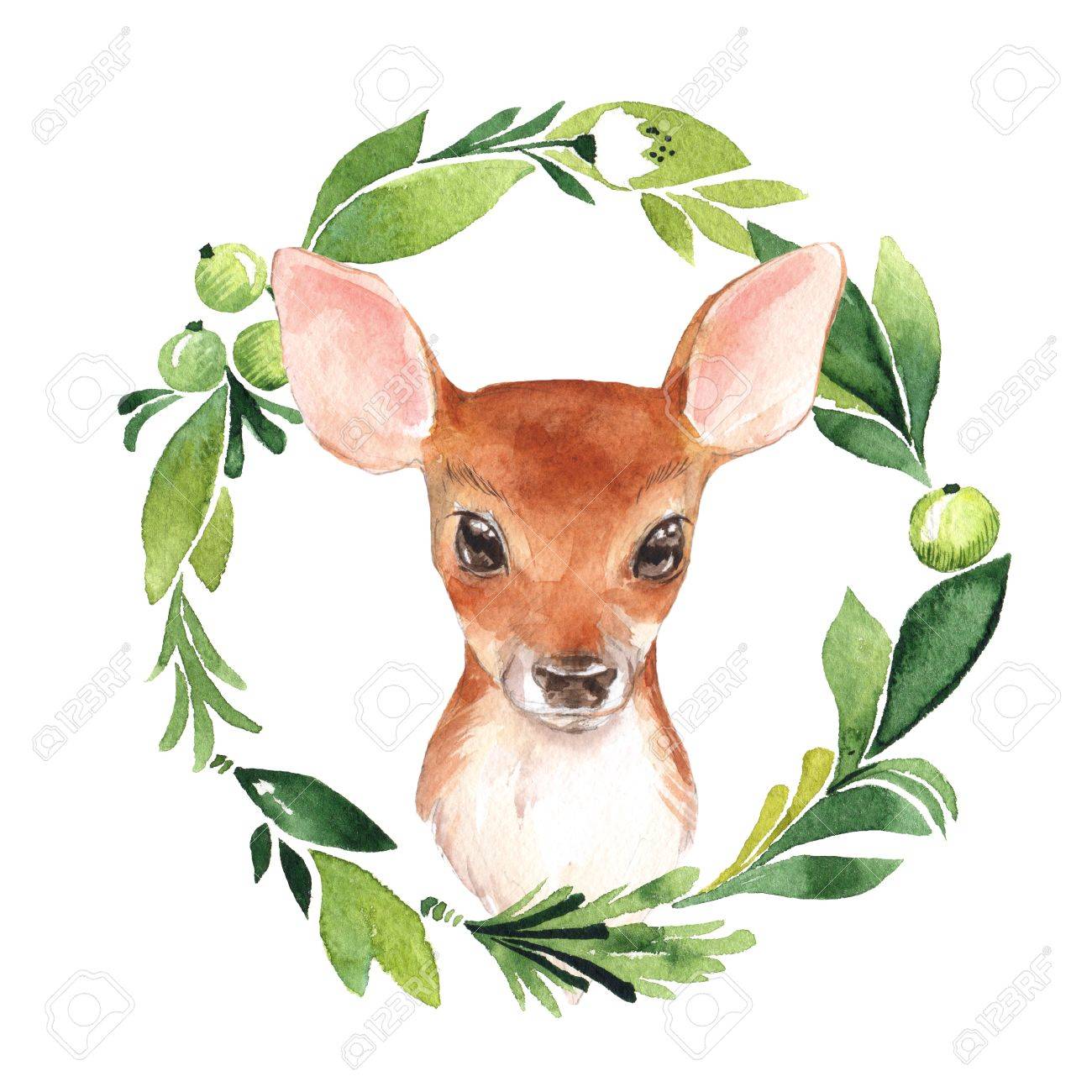 Baby Deer And Floral Frame Hand Drawn Cute Fawn Watercolor Stock