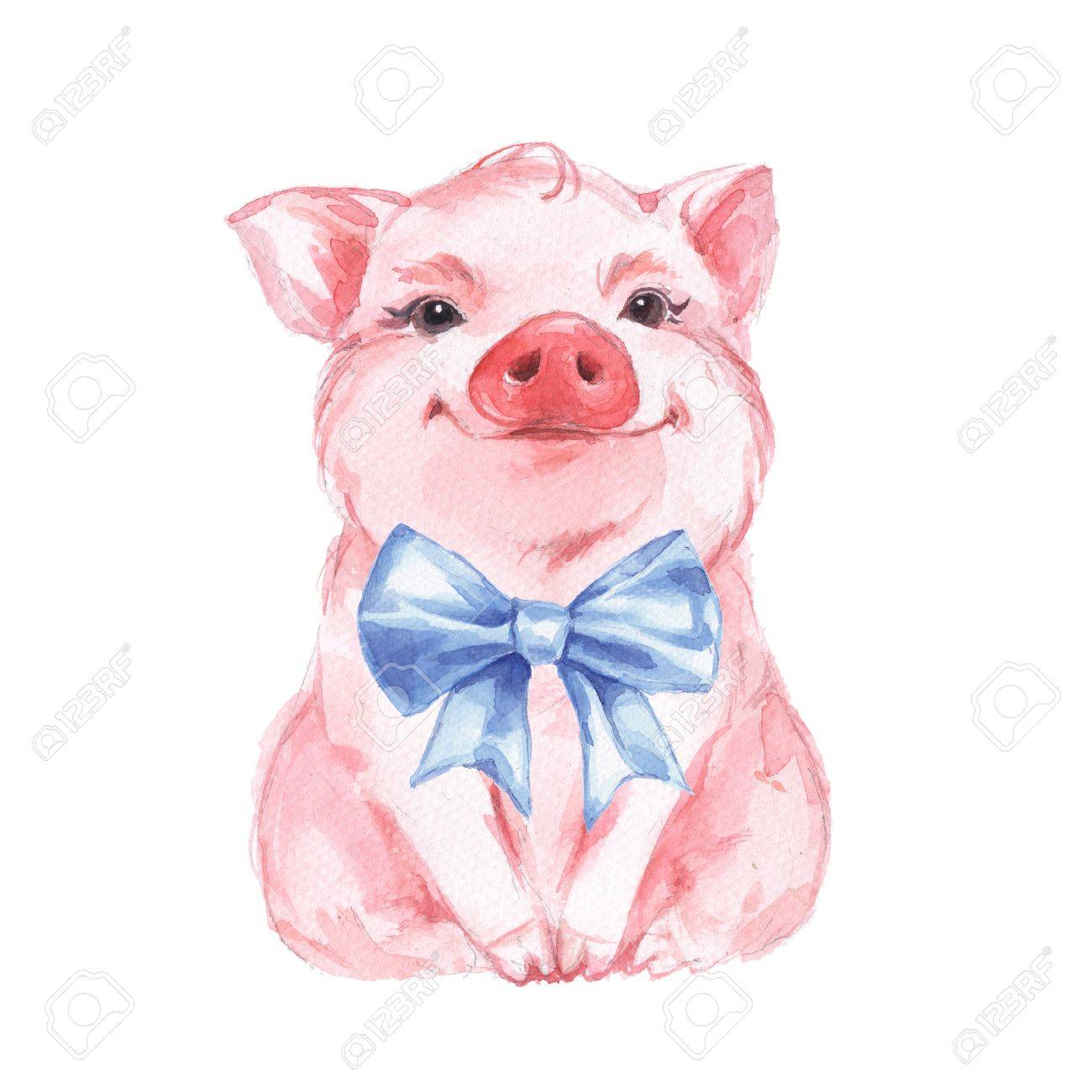Funny pig and blue bow. Isolated on white - 85605142 Funny pig and blue bow. Isolated on white - 85605142