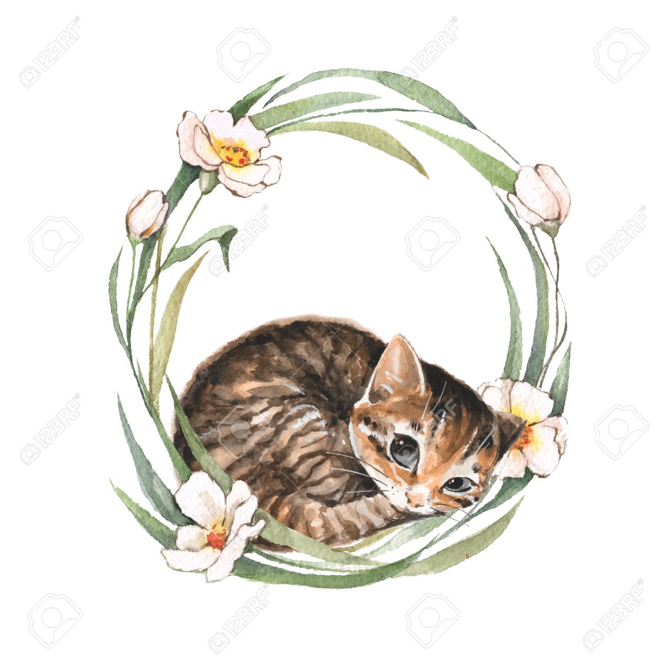 かわいい子猫 水彩イラスト の写真素材 画像素材 Image