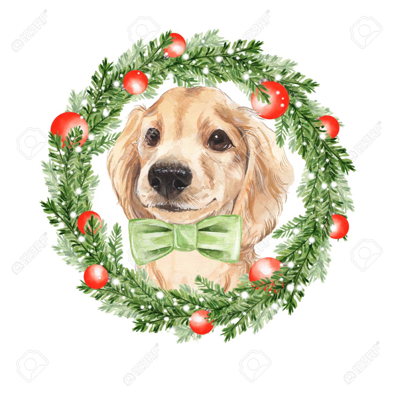 かわいい犬だクリスマスリース水彩画イラスト の写真素材 画像素材 Image