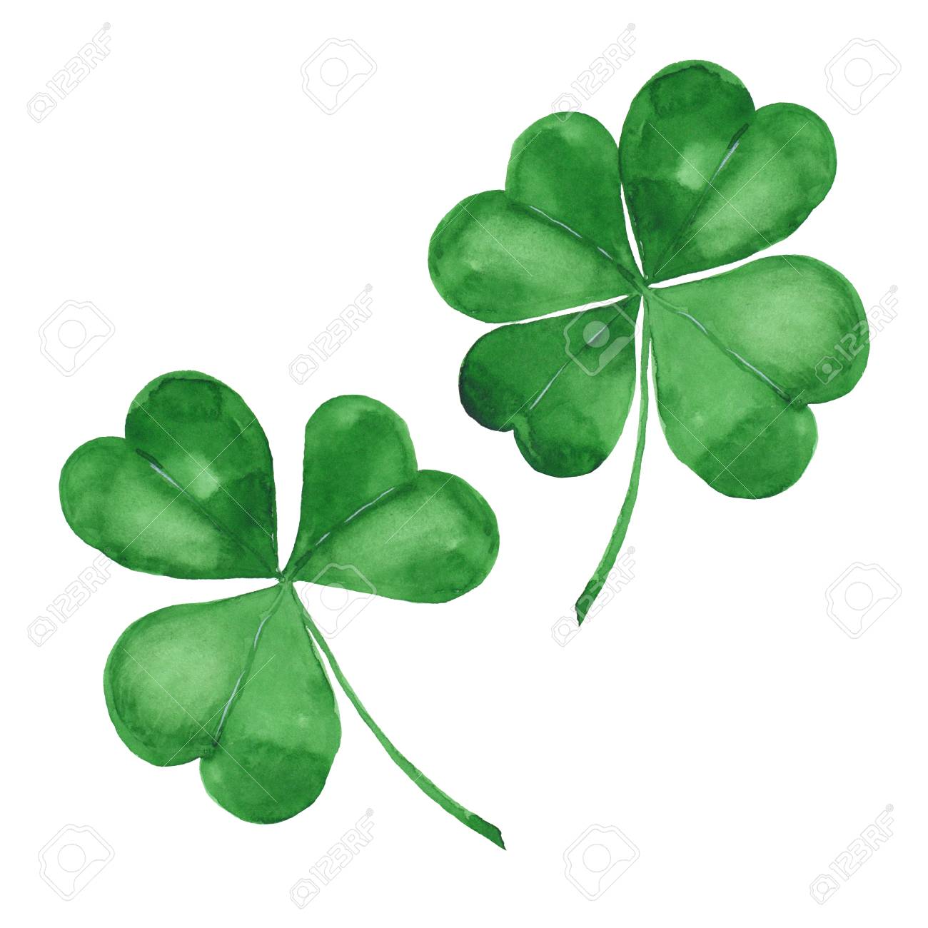 Watercolor clover. Green four leaf clover isolated on white - 114531726 Watercolor clover. Green four leaf clover isolated on white - 114531726
