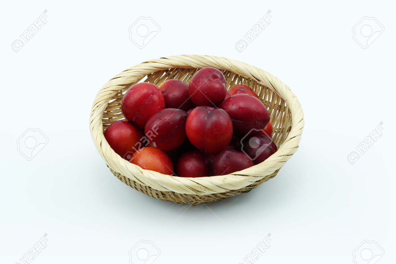 etiam-dictum-ipsum-a-felis