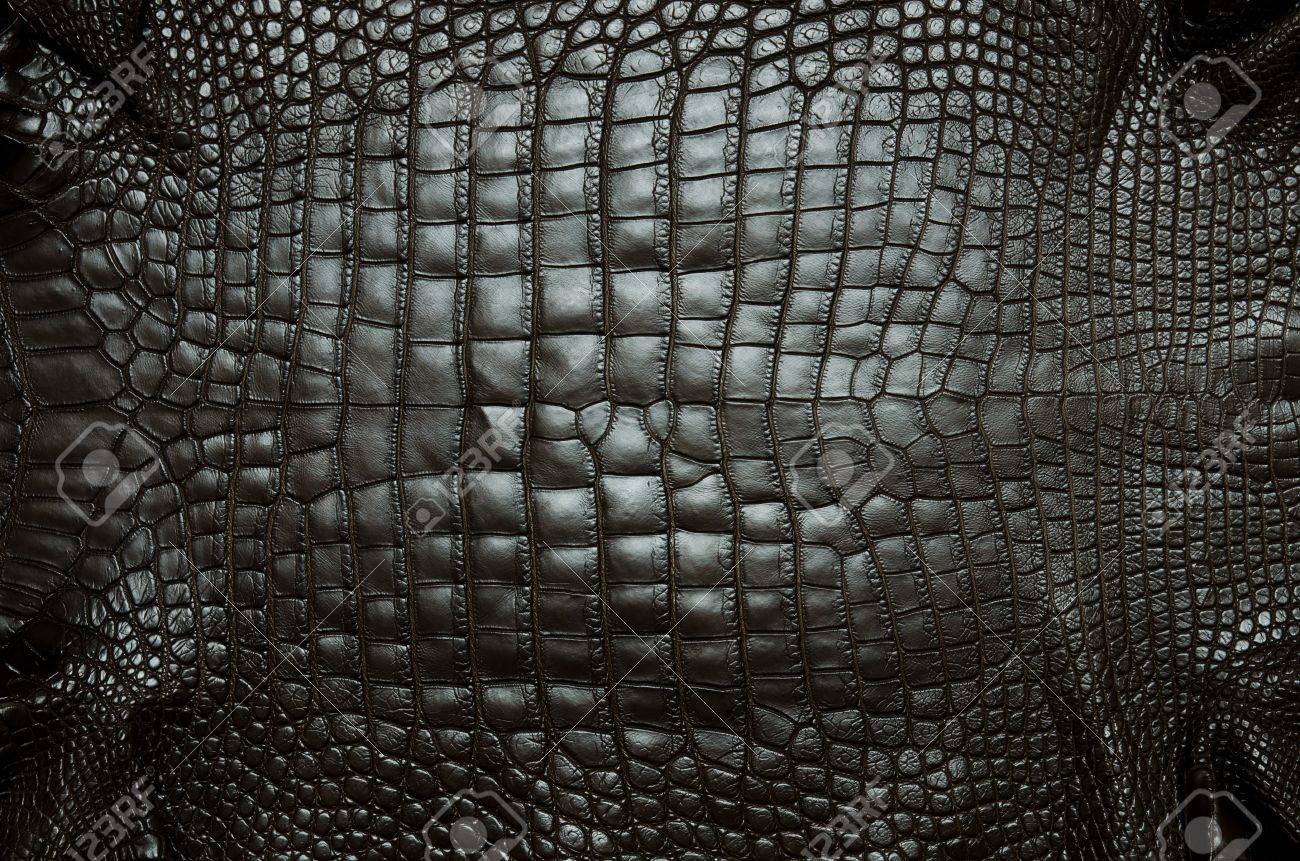 ヴィンテージ クロコダイル腹肌テクスチャ背景 の写真素材 画像素材 Image