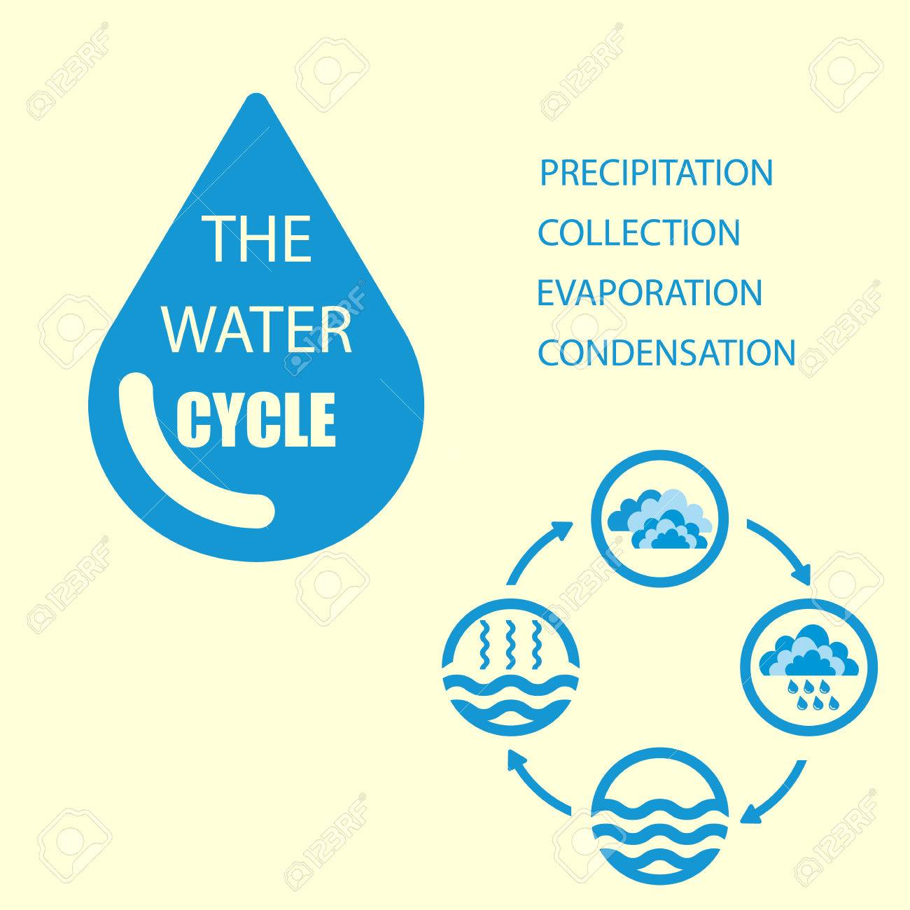 facts about evaporation