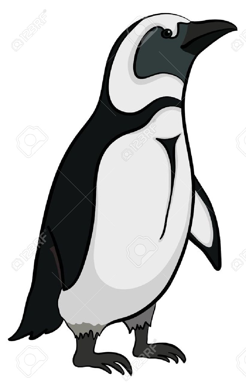 白い背景の上の南極黒と白の皇帝ペンギン ベクトルのイラスト素材 ベクタ Image