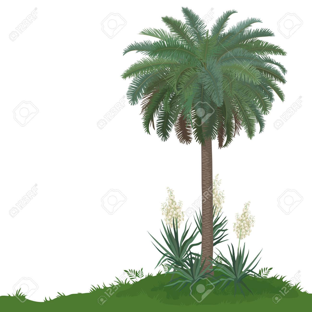 Tropische palmboom met groene bladeren en planten yucca, geïsoleerd ... Yucca gele bladeren
