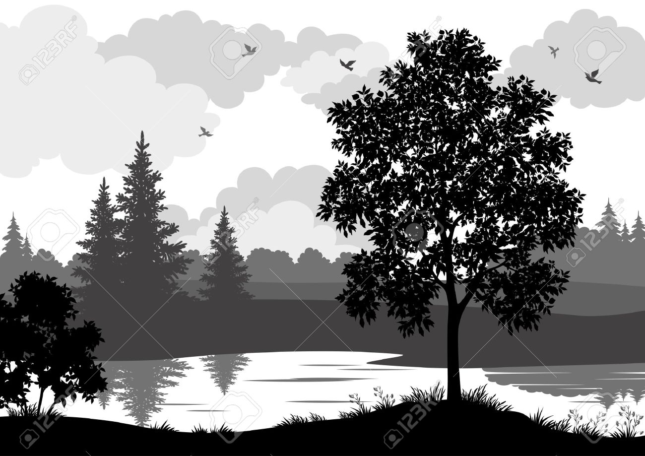 Paysage Arbres Rivière Et Les Oiseaux Noir Et Gris Contour Silhouette Sur Fond Blanc Vecteur