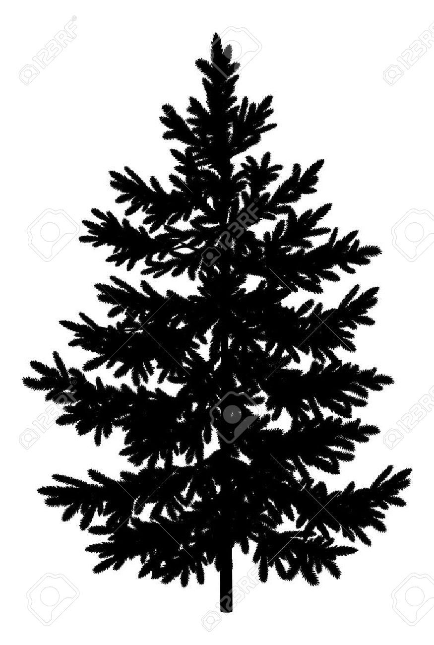 christmas spruce fir tree black silhouette isolated on white