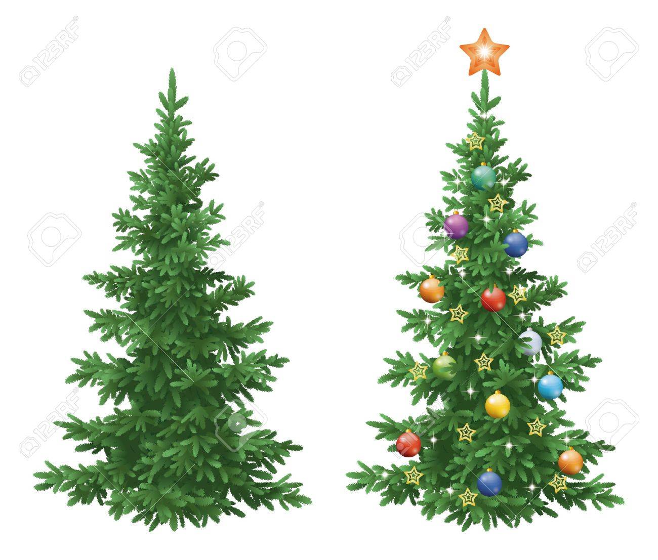 Christmas holiday spruce fir trees, natural and with ornaments, colorful balls and golden stars isolated on white background. Eps10, contains transparencies. Vector - 31589049 Christmas holiday spruce fir trees, natural and with ornaments, colorful balls and golden stars isolated on white background. Eps10, contains transparencies. Vector - 31589049