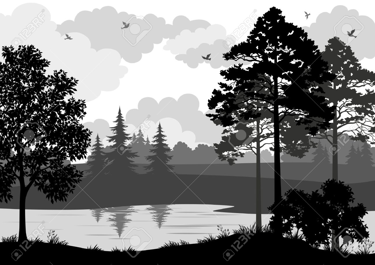 Paysage Les Arbres La Rivière Et Les Oiseaux Noir Et Gris Silhouette Contour Sur Fond Blanc Vecteur