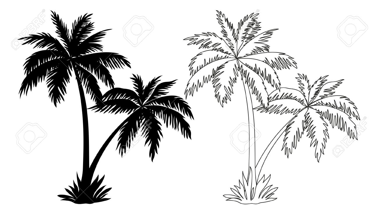 tropical palm trees black
