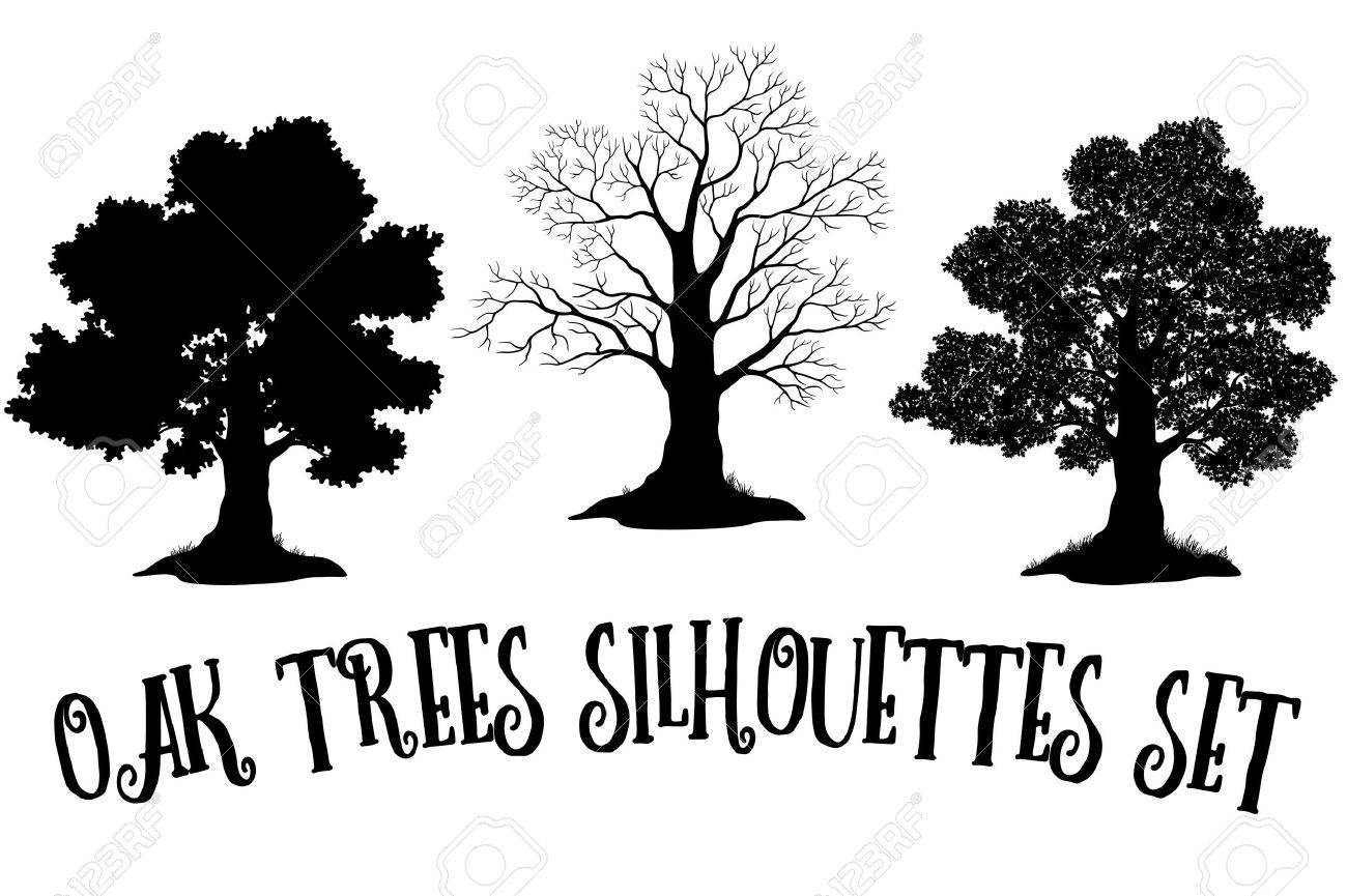 Set of Oak and Grass Silhouettes, Trees Without Leaves and Crowns Versions with Different Study of Details. Vector - 55393145 Set of Oak and Grass Silhouettes, Trees Without Leaves and Crowns Versions with Different Study of Details. Vector - 55393145