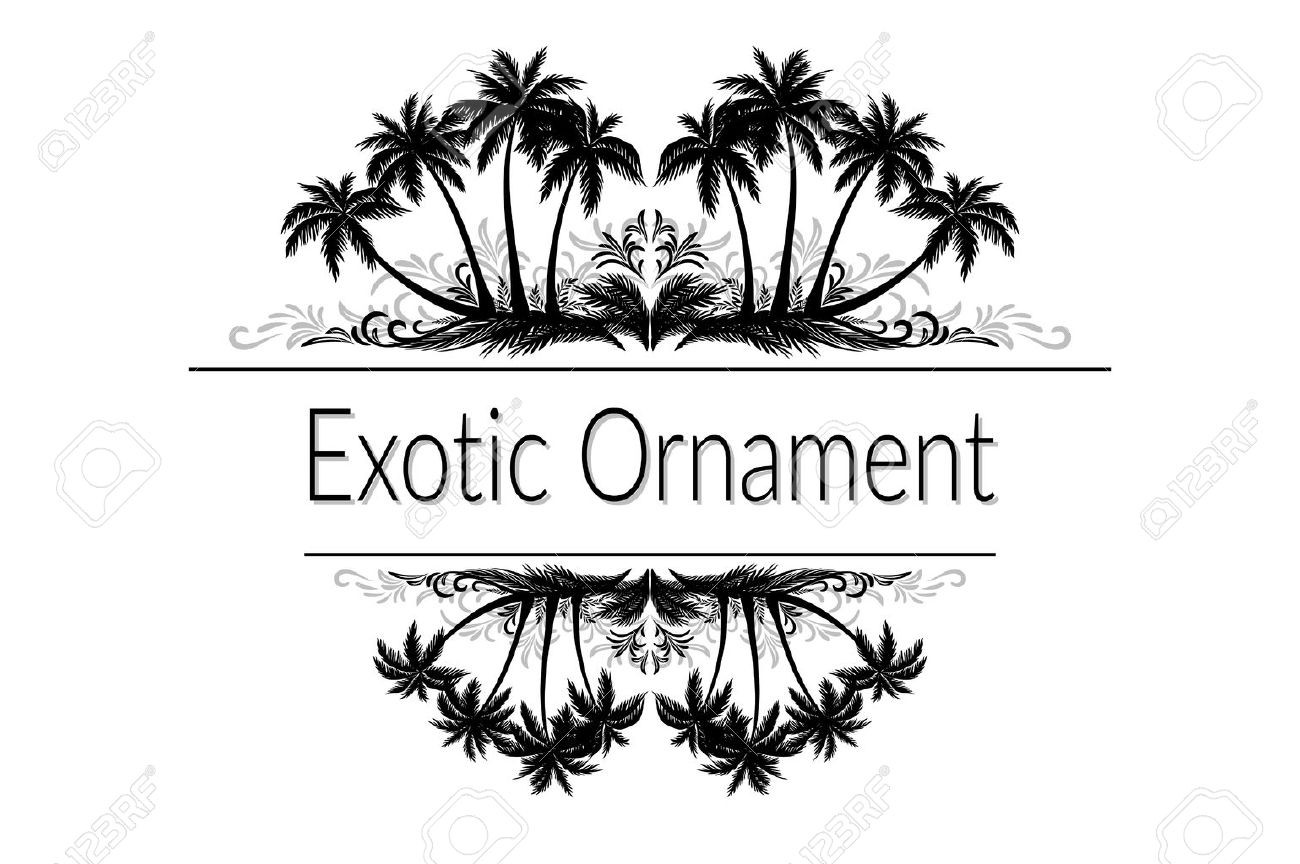 Exotic Ornament, Palm Trees and Grass Black Silhouette and Abstract Grey Floral Pattern with Place for Your Text. - 61037017 Exotic Ornament, Palm Trees and Grass Black Silhouette and Abstract Grey Floral Pattern with Place for Your Text. - 61037017