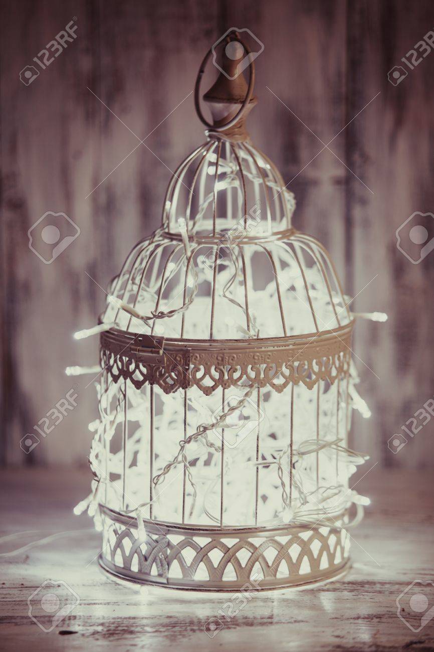 Décoration De La Lumière De Noël Dans Une Cage Doiseau Blanc