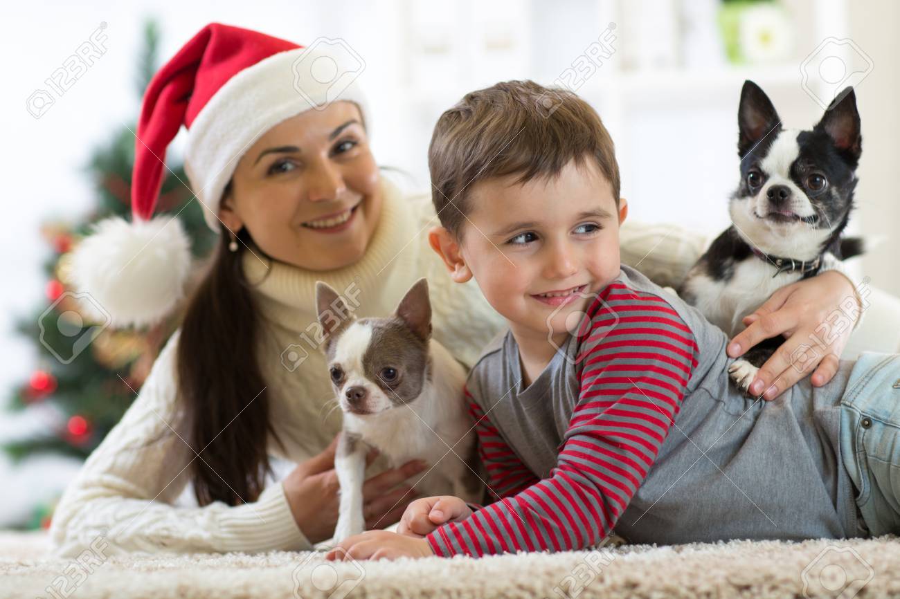 smiling family and dogs lying on carpet at home by Christmas..