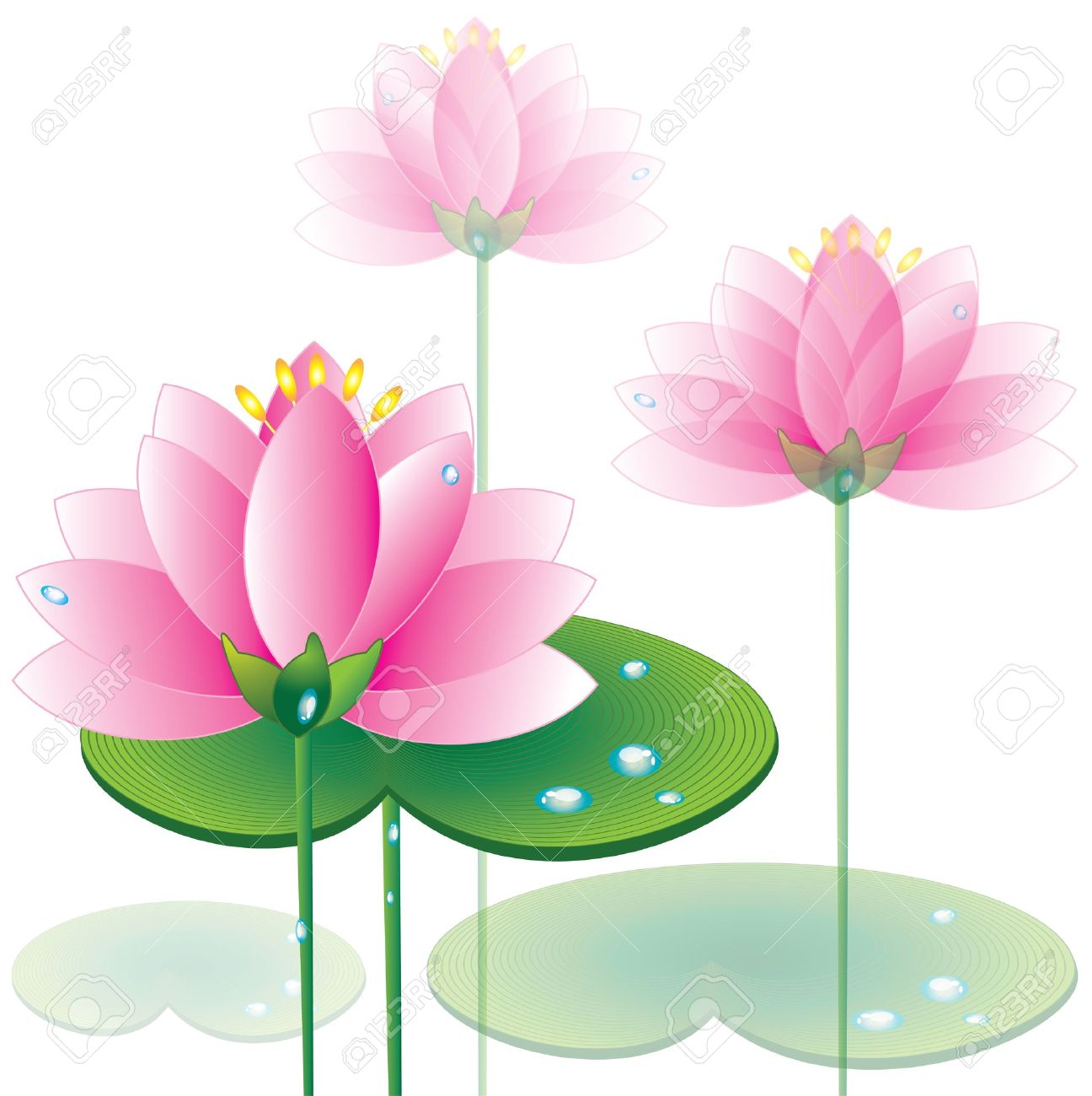 lotus royalty free cliparts