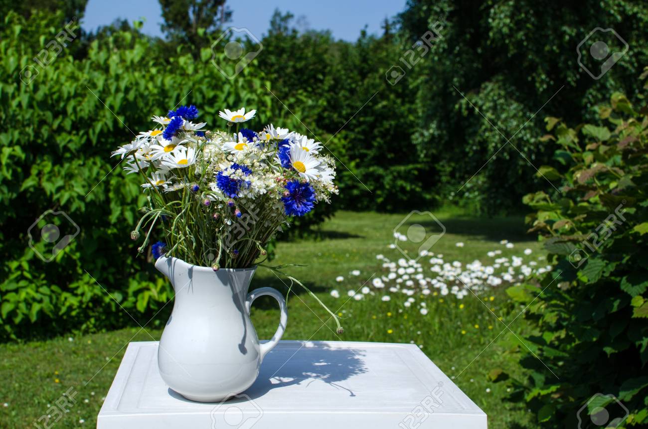 Bouquet De Fleurs Bleues Et Blanches Dété En Plein Air Dans Un Jardin