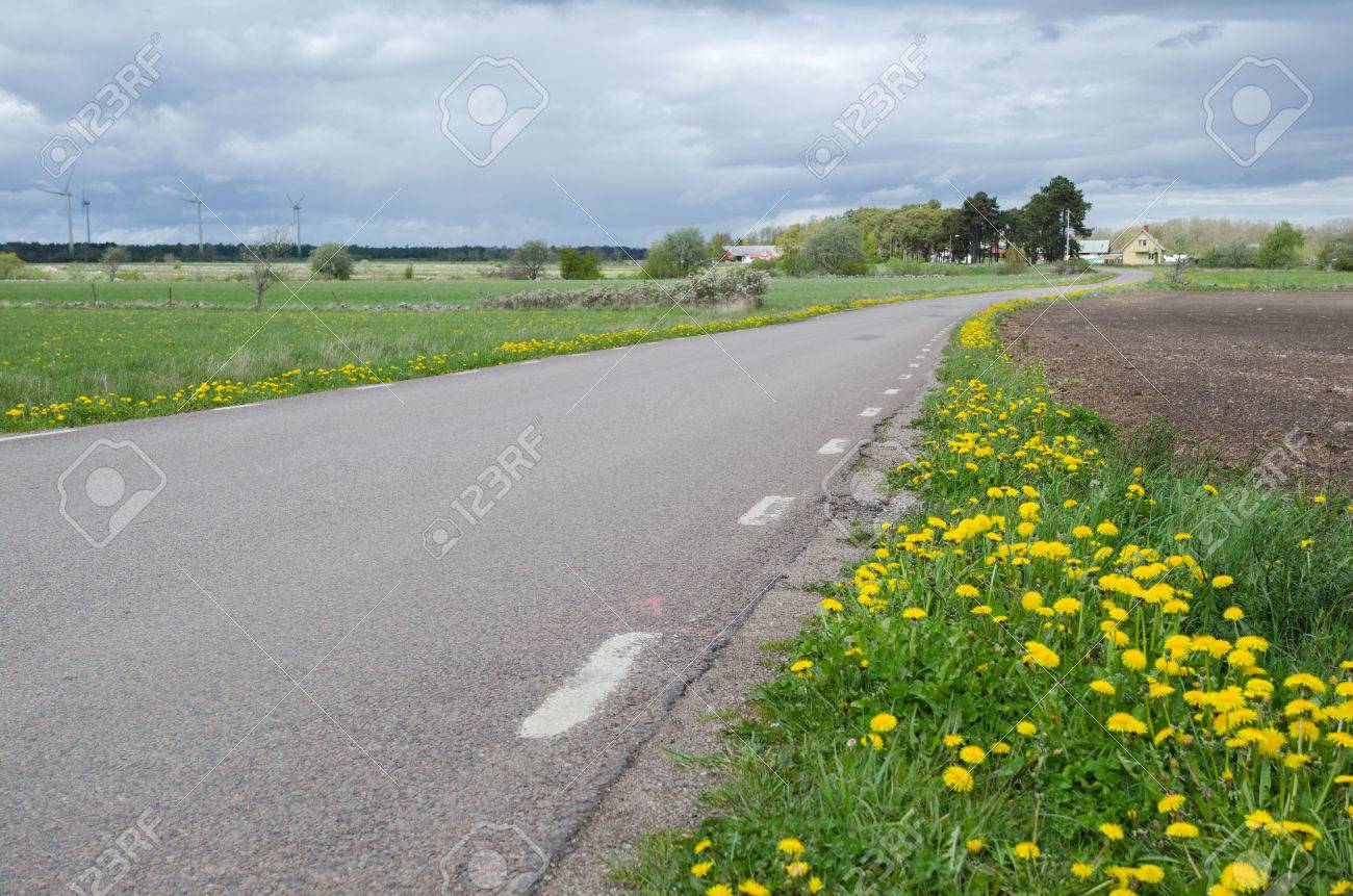 黄色の花が道端で田舎道 の写真素材 画像素材 Image