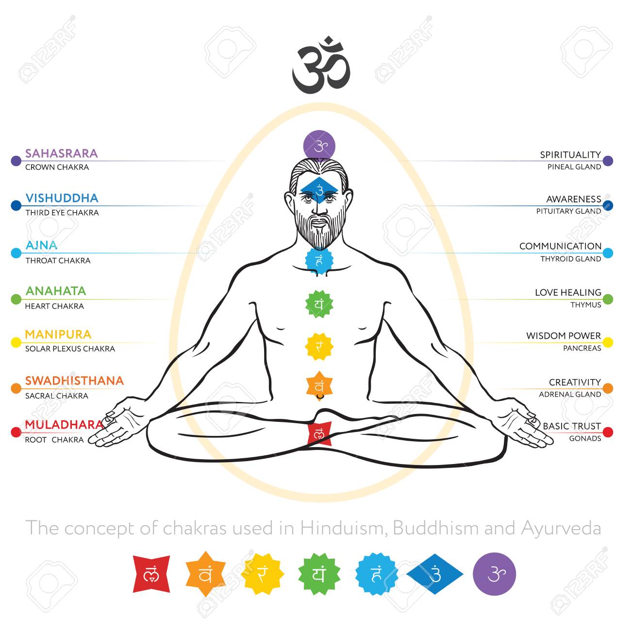 Chakras System Of Human Body Used In Hinduism Buddhism And Royalty Free Cliparts Vectors And Stock Illustration Image 106305457