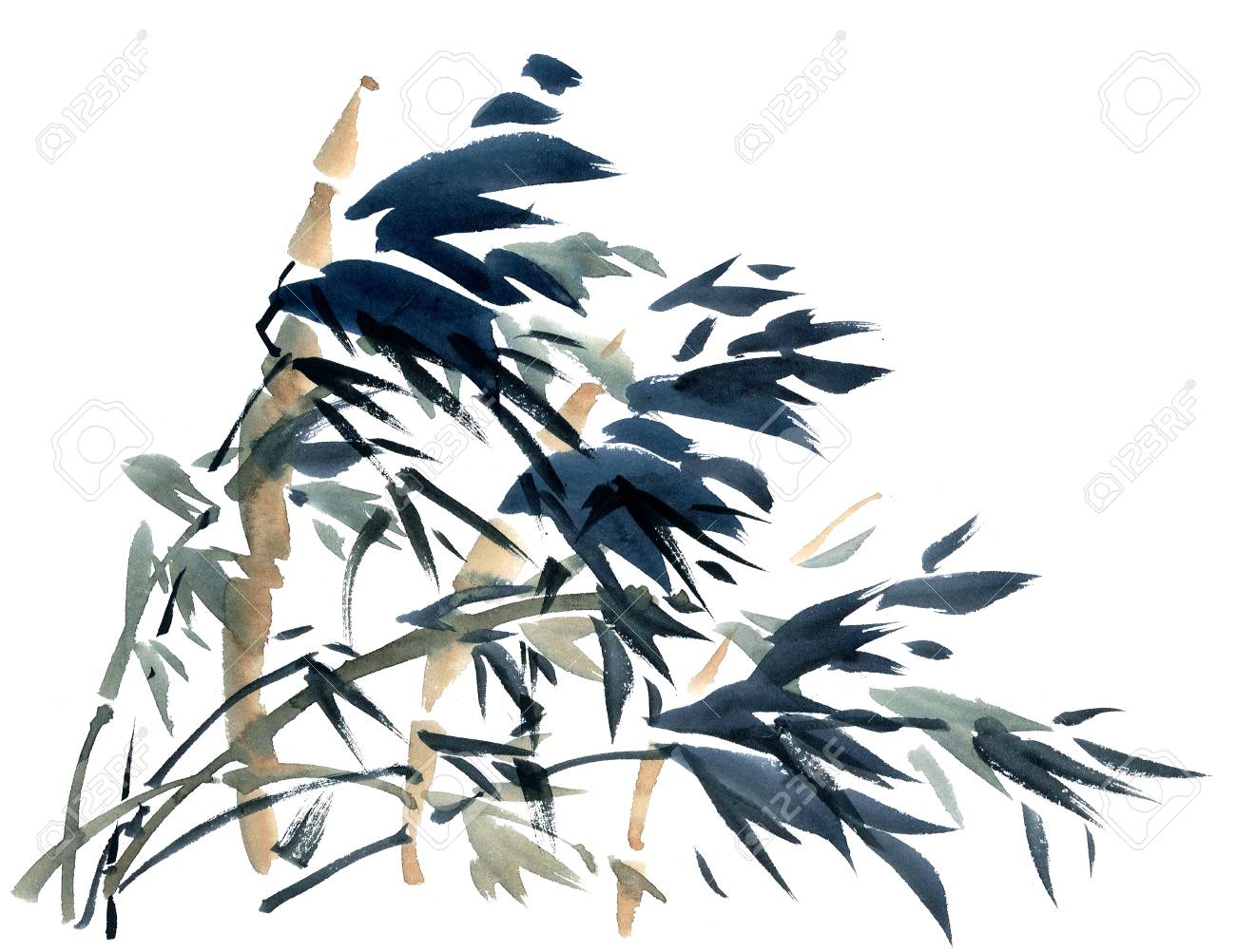watercolor and ink illustration of bamboo in style sumi e u sin
